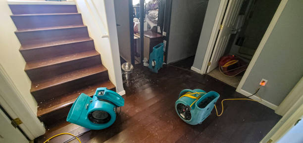 Best Commercial water damage restoration  in Elmore, AL