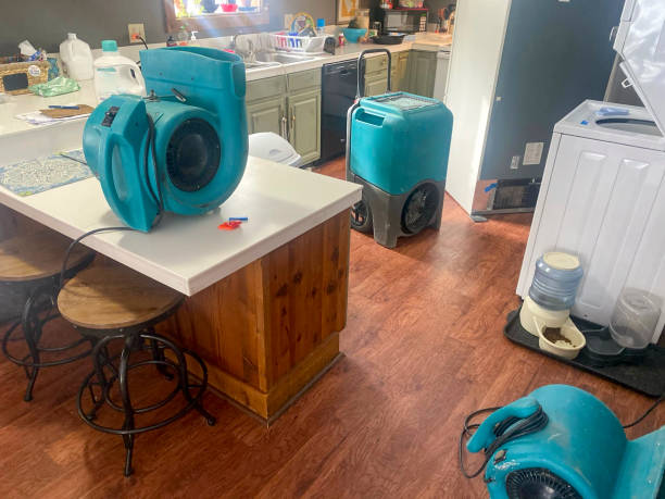 Best 24-hour water damage restoration  in Elmore, AL