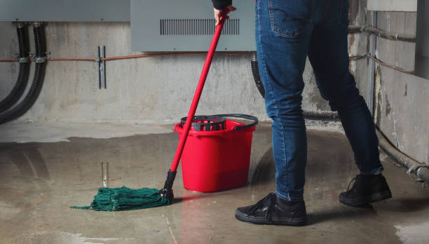 Best Flood restoration services  in Elmore, AL
