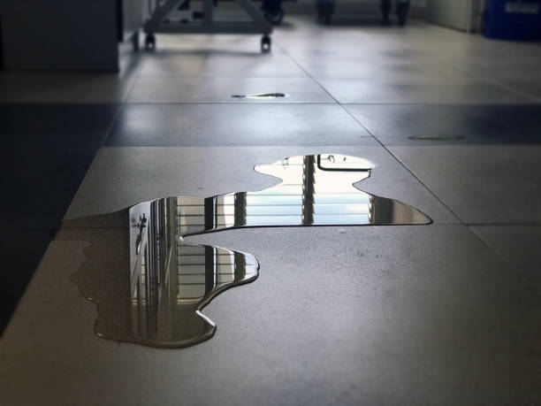 Best Commercial water damage restoration  in Elmore, AL