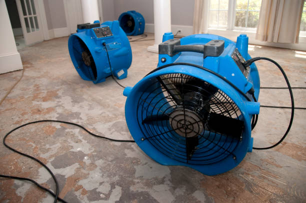 Best Residential water damage restoration  in Elmore, AL