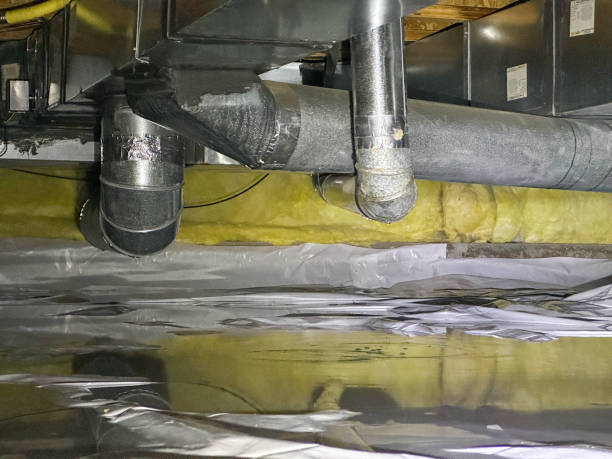 Best Flooded house restoration  in Elmore, AL