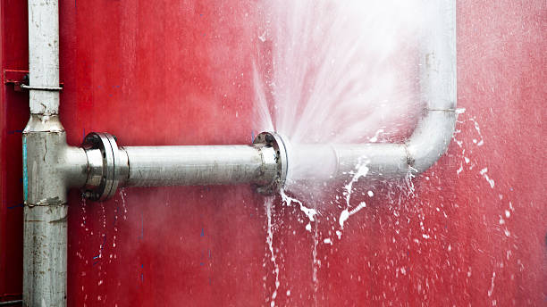 Best 24/7 water damage repair  in Elmore, AL